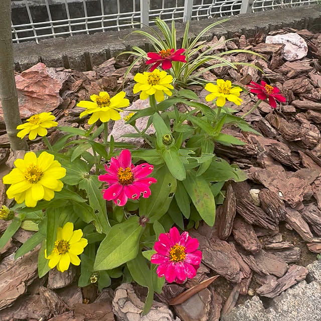 Haruさんの部屋