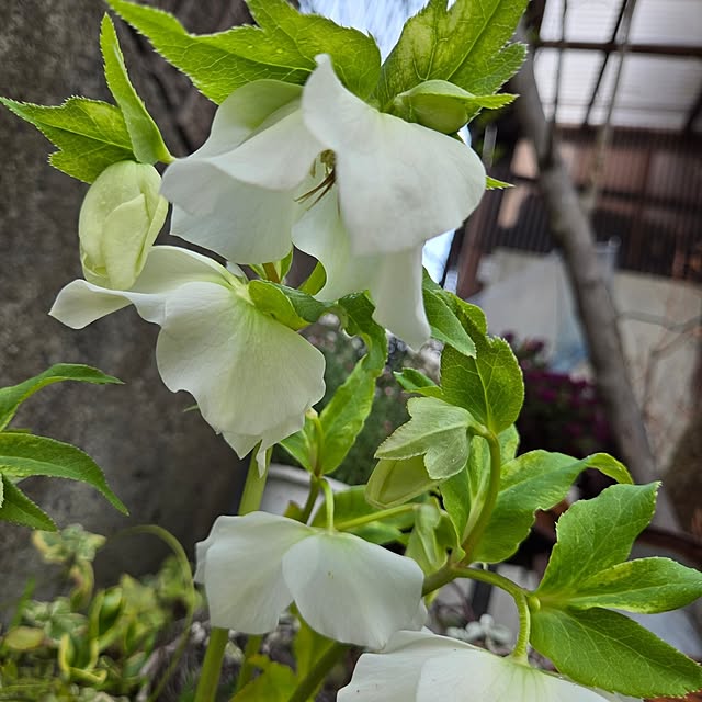 min_nimさんの部屋