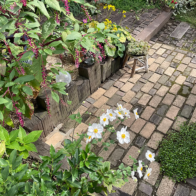 nobikoさんの部屋