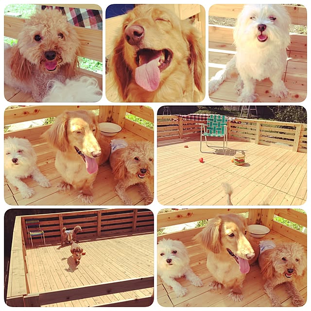 TOROさんの実例写真