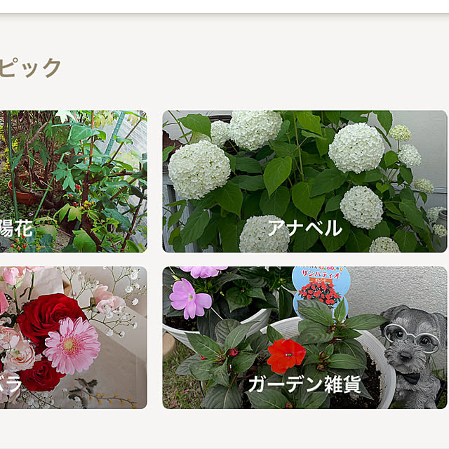 emikoさんの実例写真