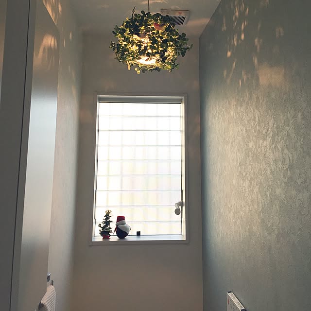 derellaさんの実例写真