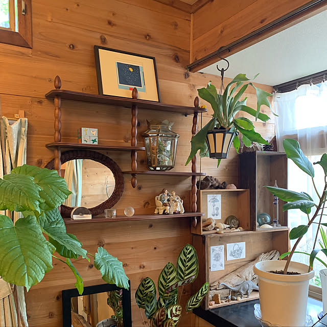 観葉植物/カフェ風/棚のインテリア実例 - 2019-08-06 13:05:53