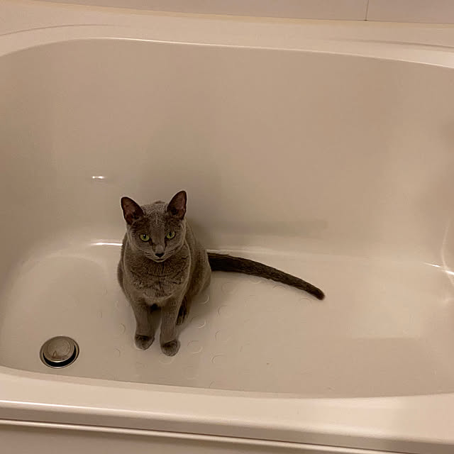meさんの実例写真