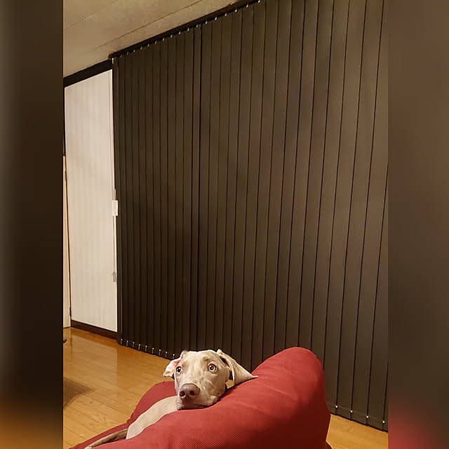 kuusaraさんの実例写真