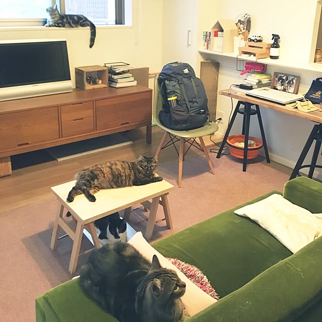 mikomaruさんの実例写真