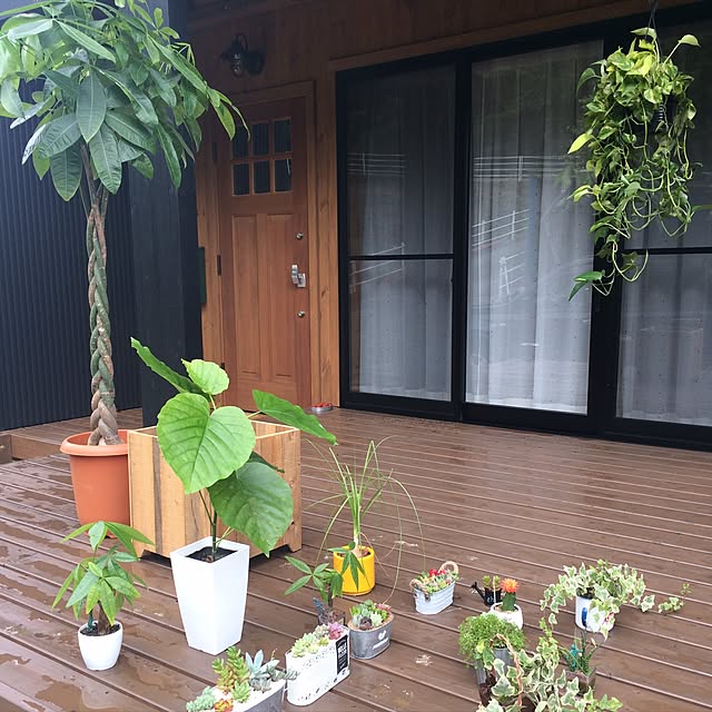 Naomiさんの実例写真