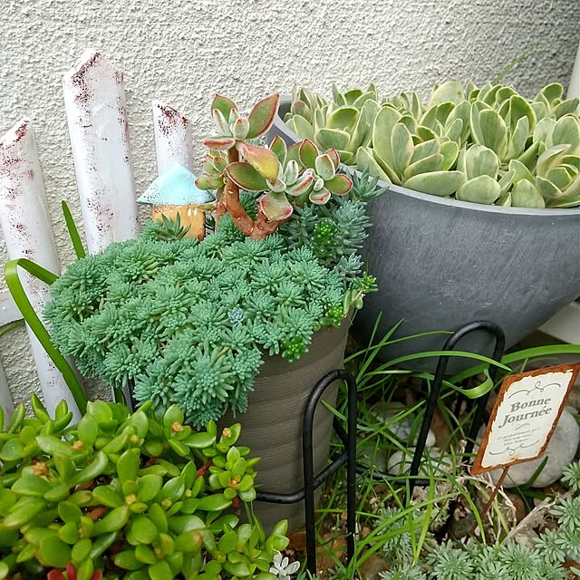 meiさんの部屋