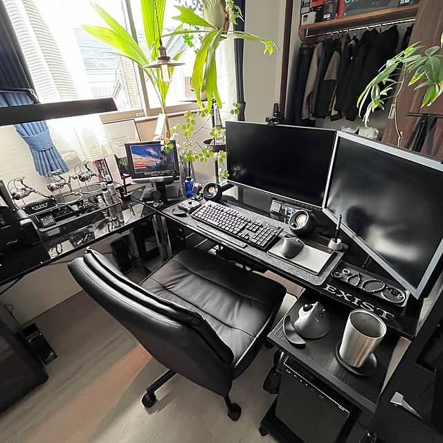 部屋全体/ブラックインテリア/観葉植物/照明/グリーン...などのインテリア実例 - 2025-12-18 18:30:51