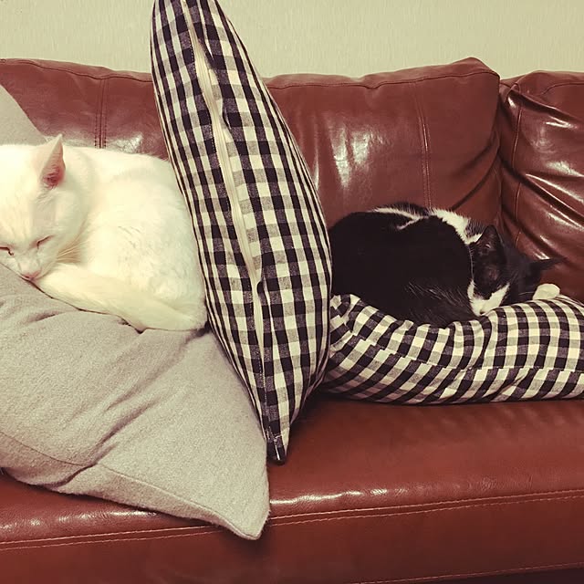 Miechamさんの実例写真