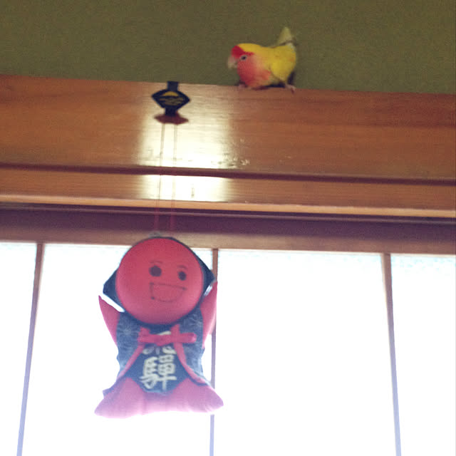 aoinokimiさんの実例写真