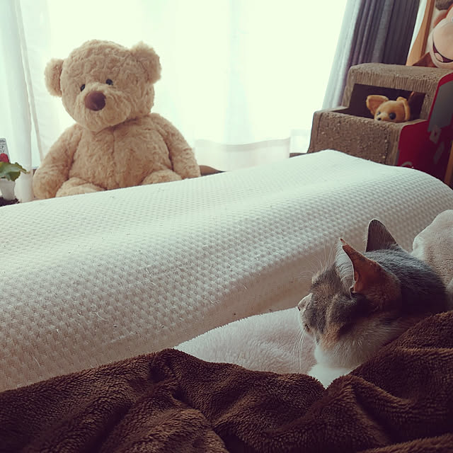 fukuさんの実例写真
