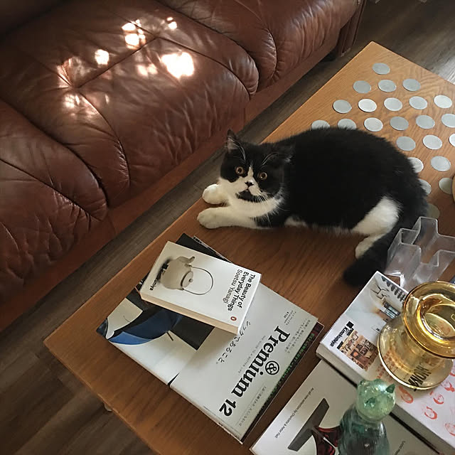 ptyyさんの実例写真