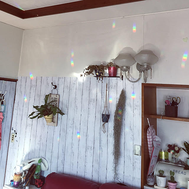 DADAさんの実例写真
