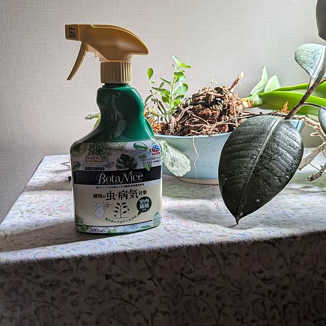 botanさんの部屋
