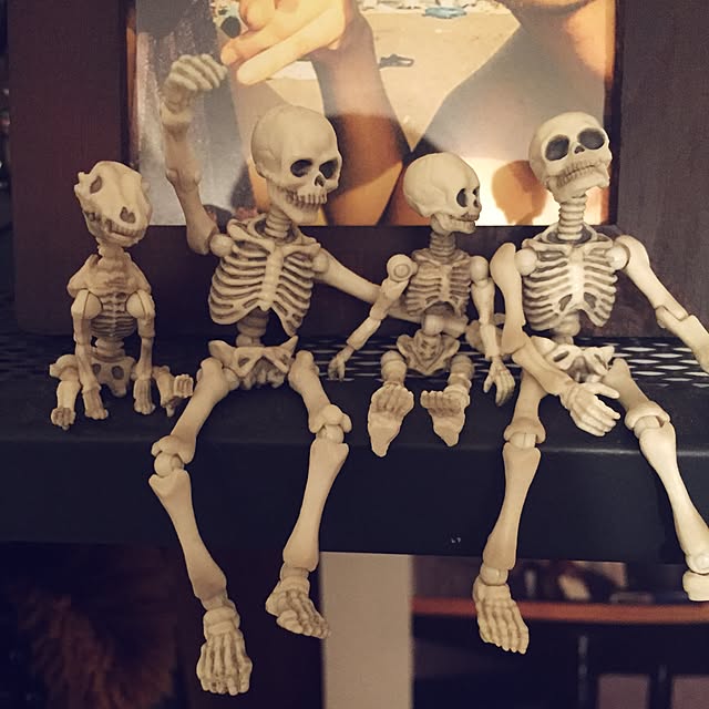 Kenichiさんの実例写真