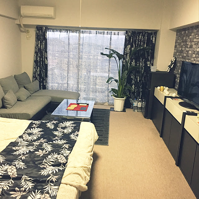 Miyukiさんの実例写真