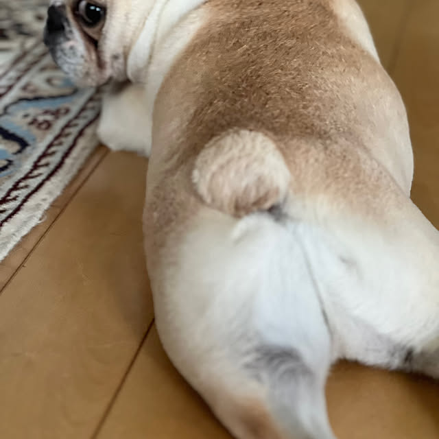 Inarichinさんの部屋