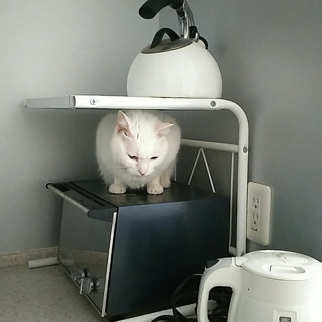 Mikiさんの実例写真