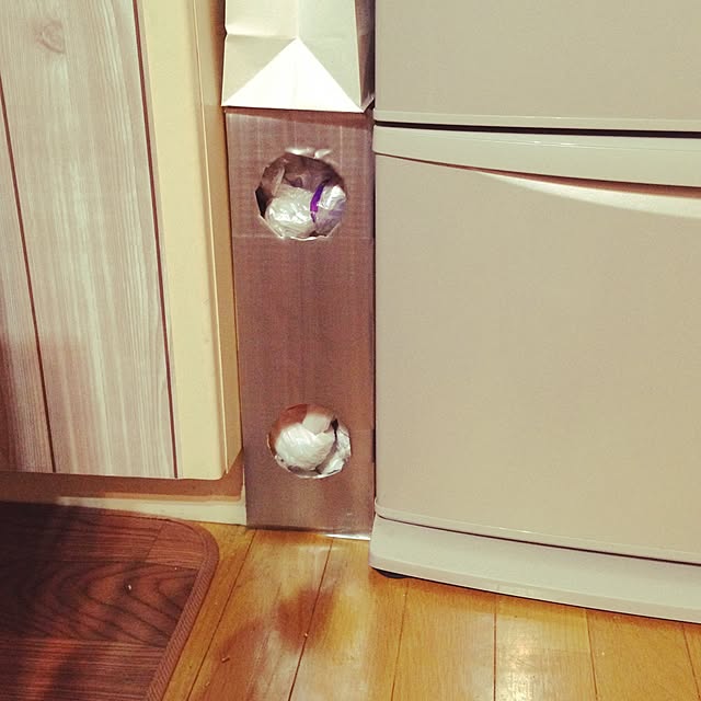 ma3t0manさんの実例写真