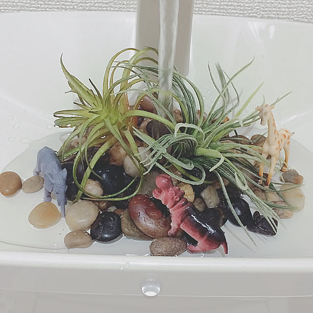 Rさんの実例写真