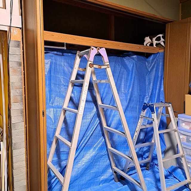 kiyohima229さんの実例写真