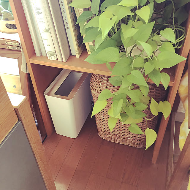 uchidaizuさんの実例写真