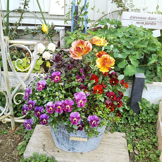 yukkoさんの実例写真