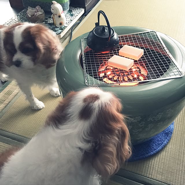 kari-kari-umeさんの実例写真