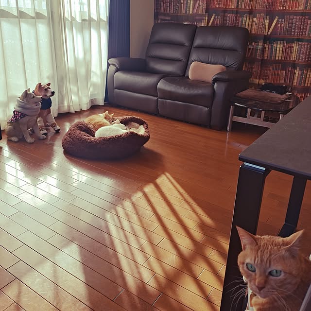 NOAHさんの実例写真