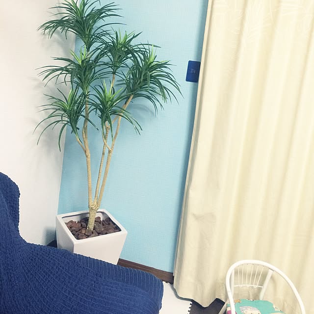 gyroballer1108さんの実例写真