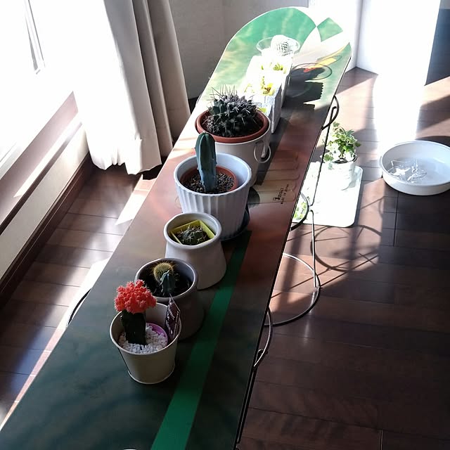 yukkin29さんの実例写真