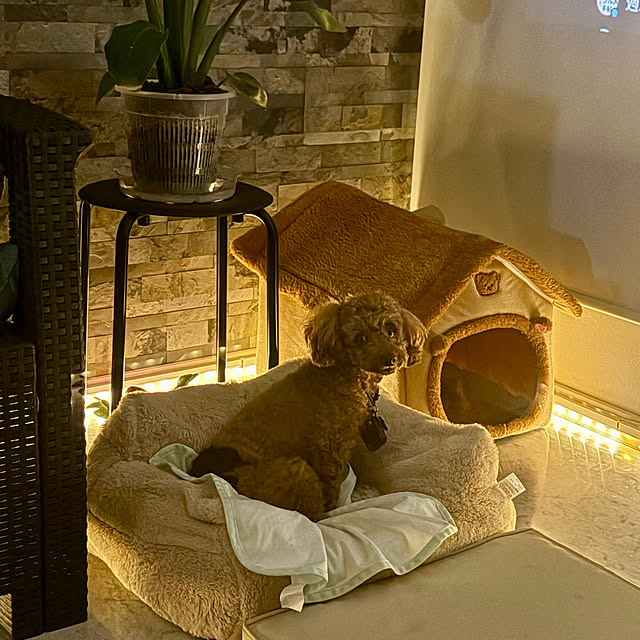 MOMOMAMAさんの部屋