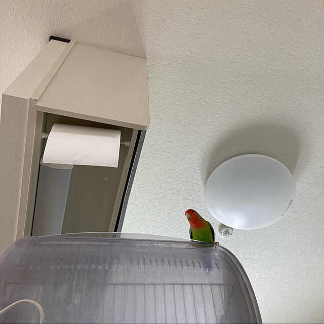 toratanさんの実例写真