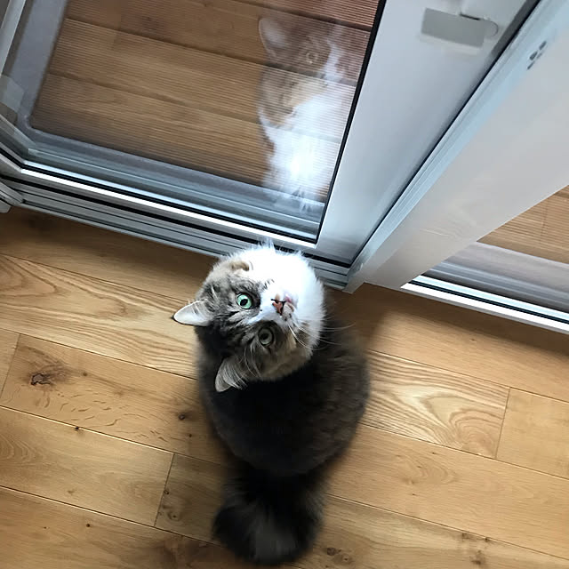micさんの実例写真