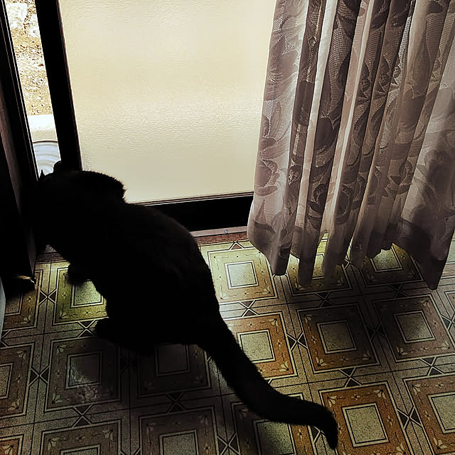 hiroさんの実例写真