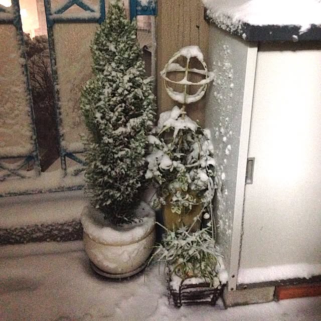 ayaさんの実例写真