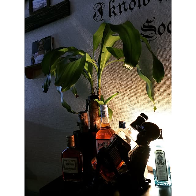 greenarmymenさんの実例写真