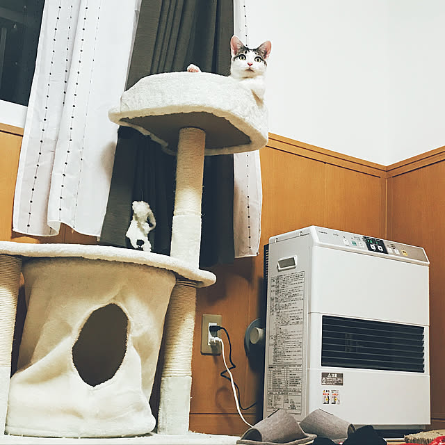 endomanさんの実例写真
