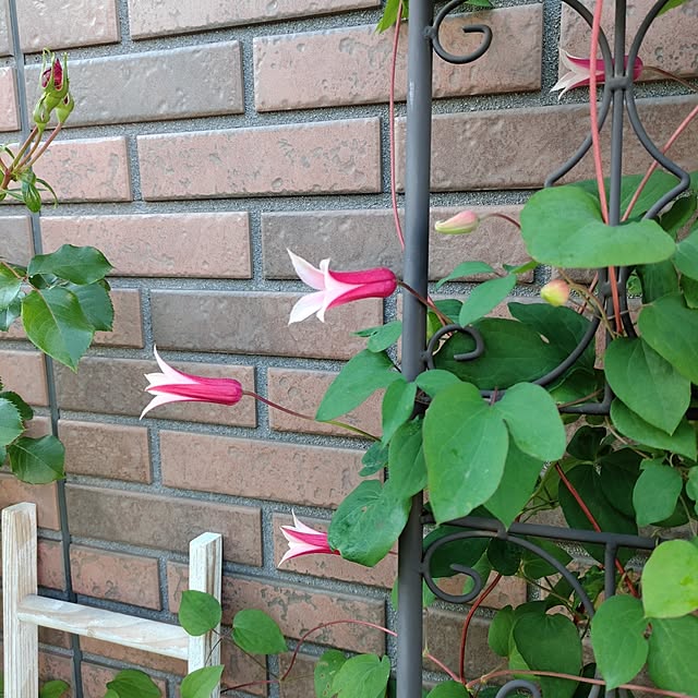 kiraさんの部屋