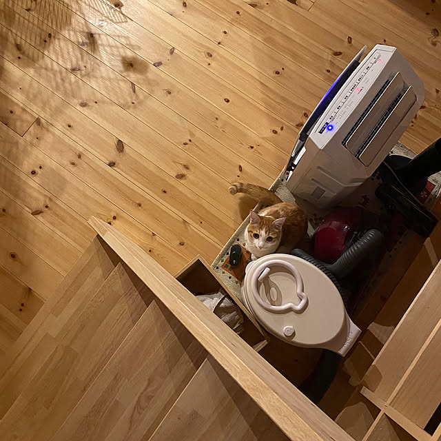 senbei.sakuramochiさんの実例写真