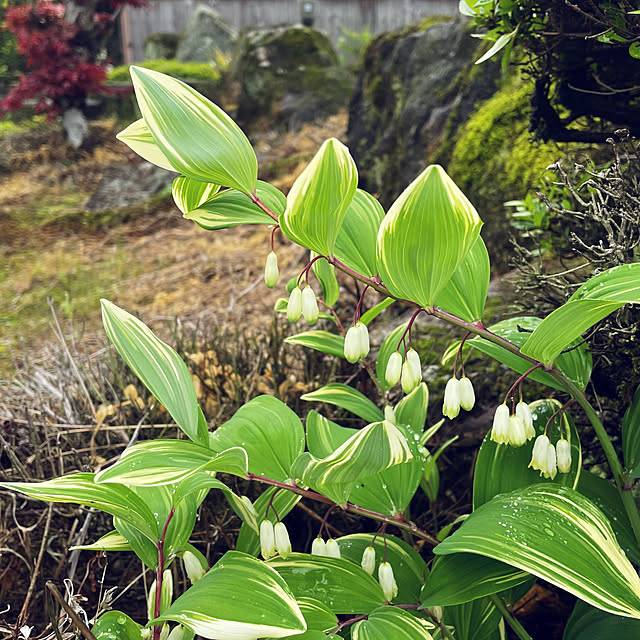 miyamiyaさんの部屋