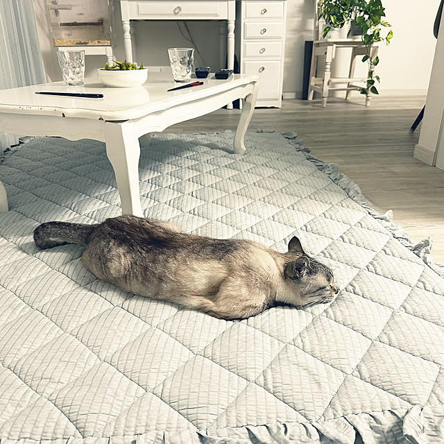 mieさんの実例写真
