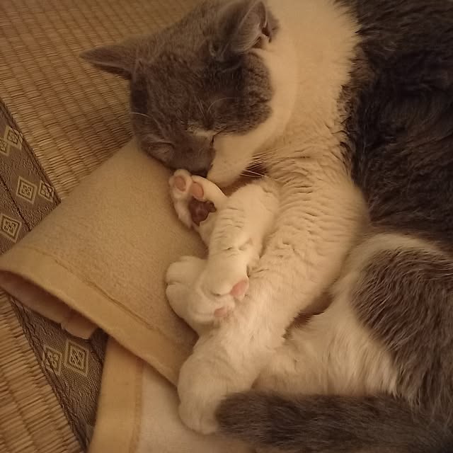 rhuさんの実例写真
