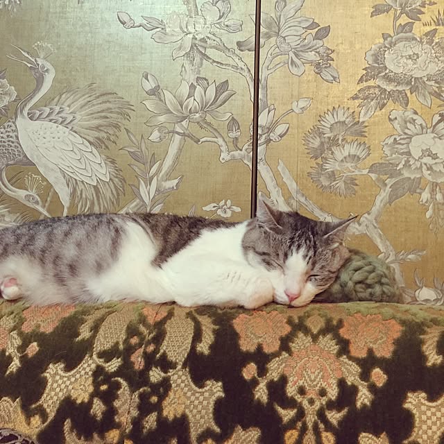 emmyyさんの実例写真