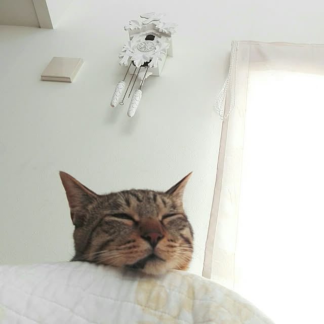 noraさんの実例写真