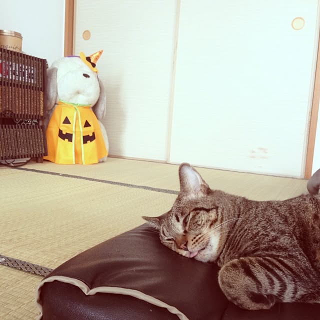Mioさんの実例写真