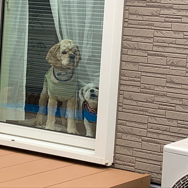 emiさんの実例写真