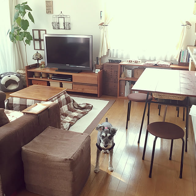 tamaharuさんの部屋