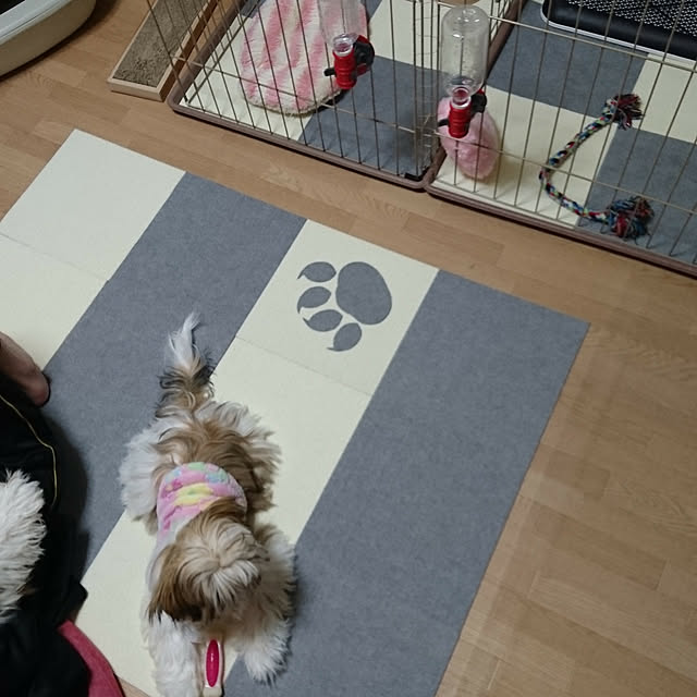 Reiさんの実例写真